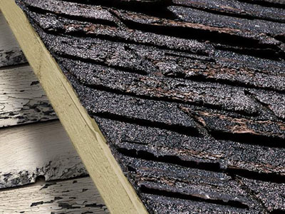 Coverall's Total Home Improvement  Inc. Images